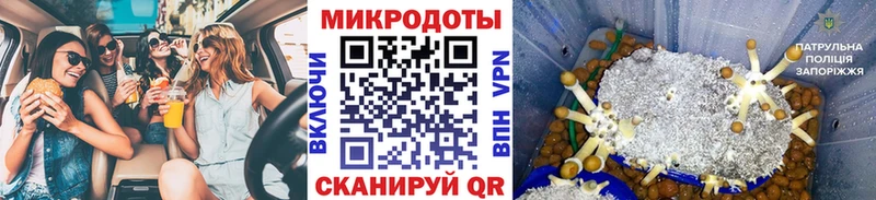 закладки  Слюдянка  Галлюциногенные грибы Psilocybe 